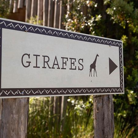 Les Hauts De Beauval Saint-Aignan  Εξωτερικό φωτογραφία
